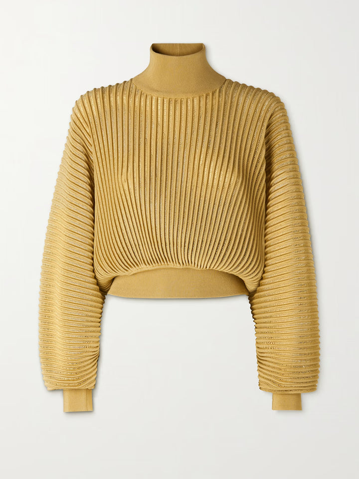 CHO Ribbed-knit Turtleneck Sweater in Brown