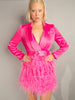 FIFTH AVE Feathers Dress in Fuchsia