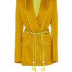 Tasseled Satin Blazer + Pants in Gold - Image 7