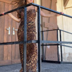 CATALINA Leopard Dress - Image 9