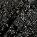 RELLE Sequins & Feather Jacket - Image 5